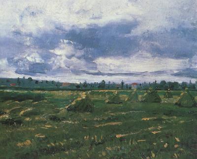 Vincent Van Gogh Wheat Fields with Stacks (nn04) Norge oil painting art